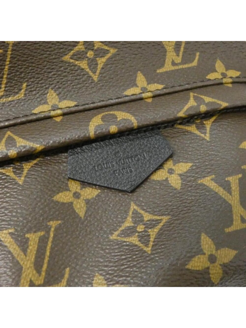 Louis Vuitton Monogram Palm Springs Backpack PM Rucksack - Picture 4 of 8